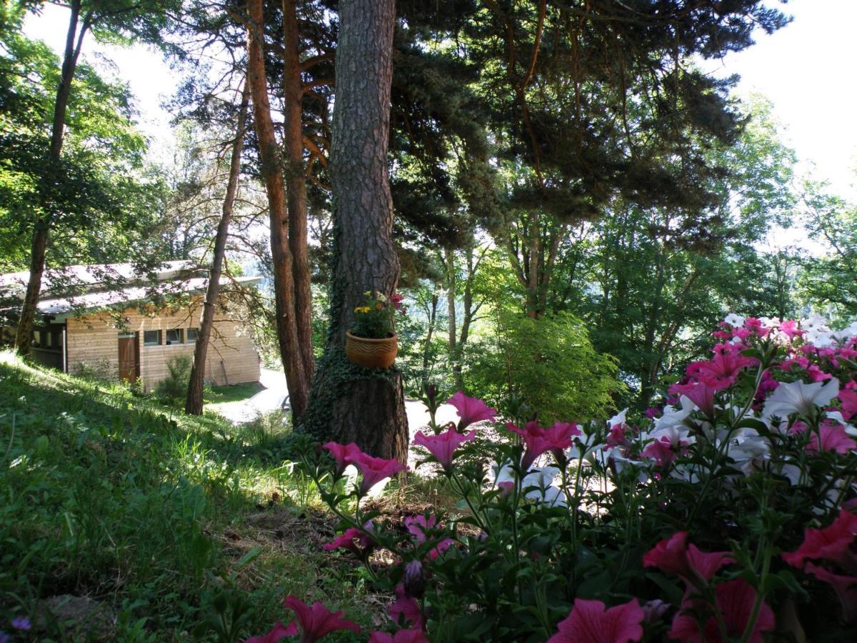 Le Grand Val Bed & Breakfast Lavastrie Ngoại thất bức ảnh